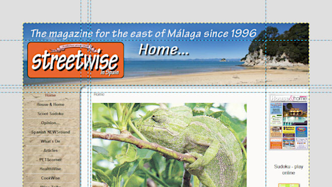 An image of streetwise magazine is shown with cutting lines for a website layout