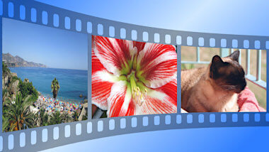 Service Photography: Picture from a film roll with Pacific photos
