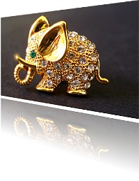 Produkt Foto goldener Anstecker Elefant