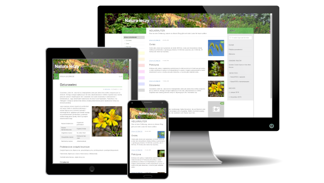A photo with a monitor, tablet and smartphone showing a Wordpress blog in different sizes